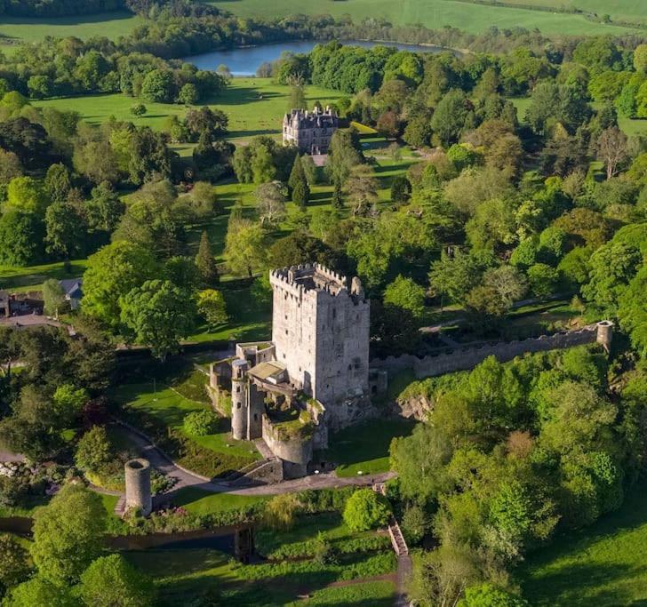 Foxhollow House Blarney Exteriör bild