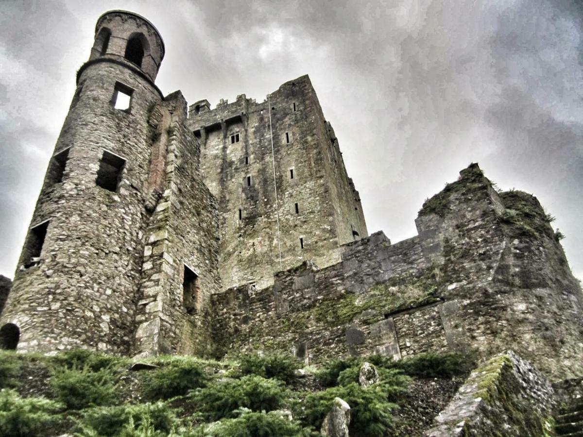 Foxhollow House Blarney Exteriör bild