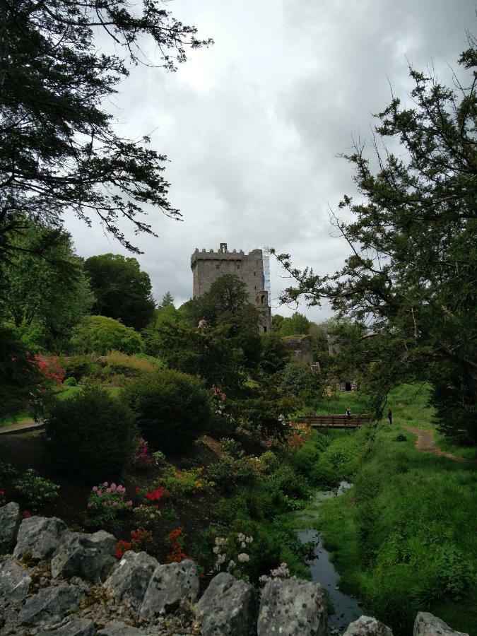 Foxhollow House Blarney Exteriör bild