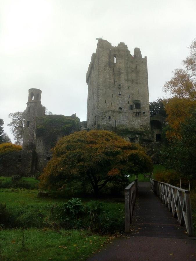 Foxhollow House Blarney Exteriör bild
